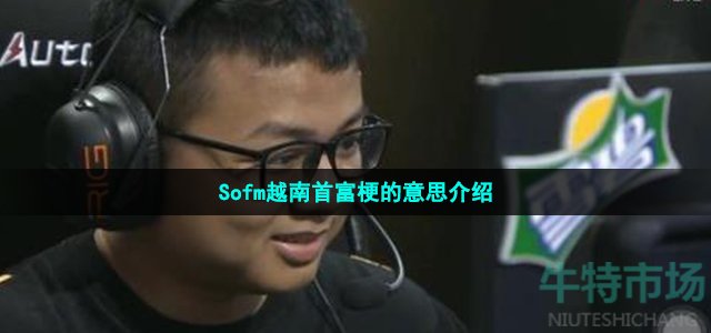 sofm越南首富什么梗(Sofm越南首富梗的意思介绍)