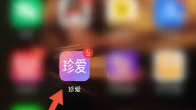 珍爱app如何隐藏在线状态