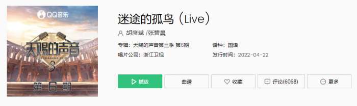 17岁高清免费观看完整版被遗忘的孤鸟还在迷途中央靠着自己固执寻找是什么歌-迷途的孤鸟歌曲信息介绍