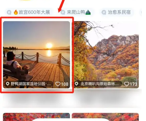 马蜂窝旅游怎么投诉举报