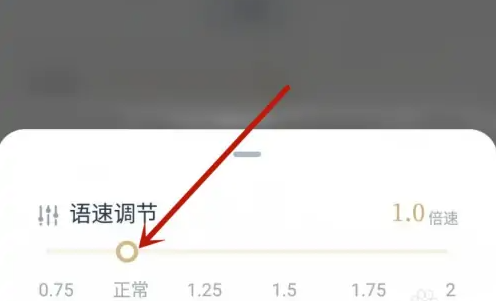 看理想app怎么倍速