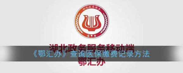 鄂汇办如何查询代缴城乡居民医保-鄂汇办查医保缴费记录步骤一览