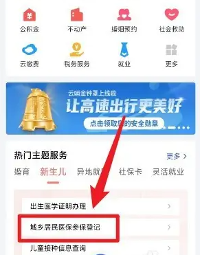 鄂汇办怎么办理新生儿医保