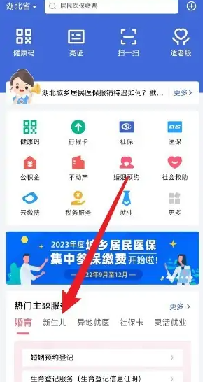 鄂汇办怎么办理新生儿医保