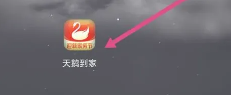 天鹅到家app怎么注销