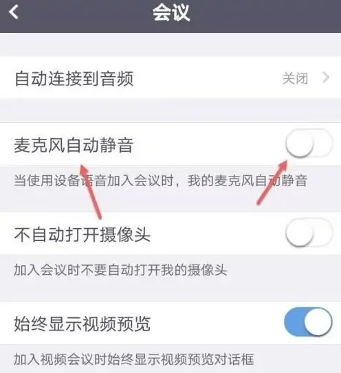 umeet网络会议怎么说话