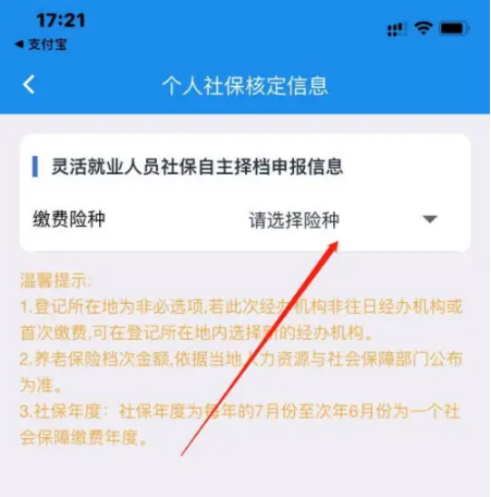 楚税通怎么交灵活就业养老保险