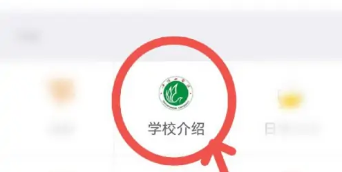 翻转校园如何查看进出校园