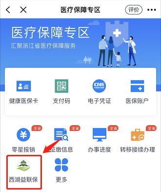 浙里办app怎么办西湖益联保