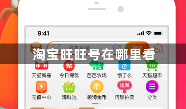 淘宝旺旺号在哪里看？淘宝旺旺号查看方法