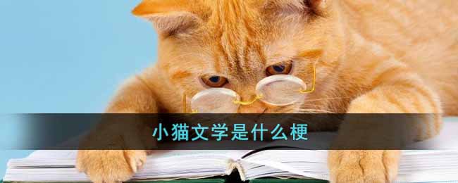 小猫文学是什么梗-小猫文学是什么梗