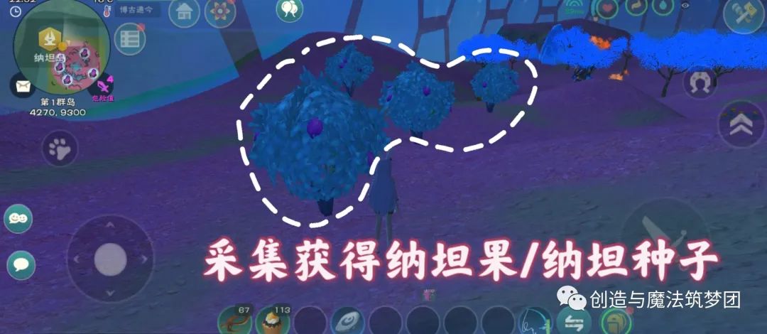 创造与魔法S15赛季第一周花园任务怎么做