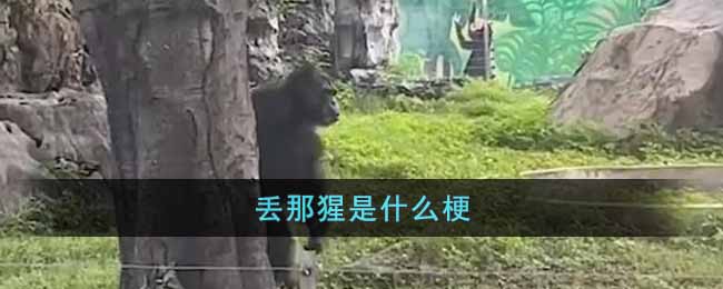 抖音南宁动物园丢那猩梗是什么意思