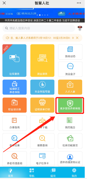 湖南人社智慧app怎么查询每个月到账 具体操作方法介绍