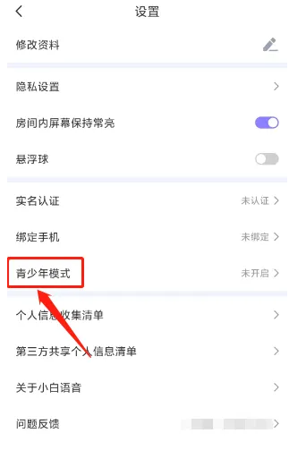 小白语音怎么办才能听