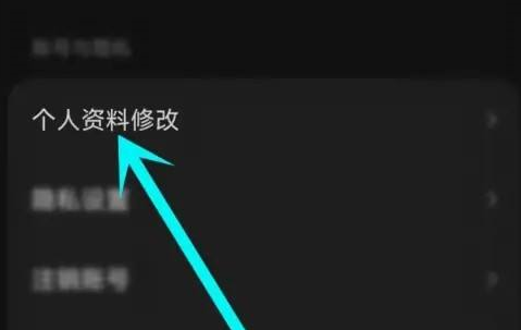 汽水音乐怎样设置定位