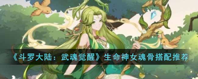 《斗罗大陆：武魂觉醒》生命神女魂骨搭配推荐-斗罗大陆武魂觉醒生命神女魂骨怎么搭配