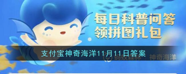 你知道吗我国建立的第一个红树林自然保护区位于-你知道吗我国建立的第一个红树林自然保护区位于