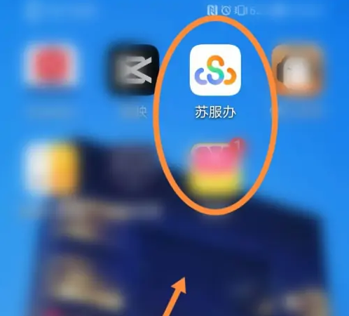 江苏政务app怎么查孩子交学费的电子发票-苏服办查看电子票据方法