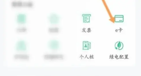 国家电网充电桩app怎么办理业务-e充电app绑定e卡教程