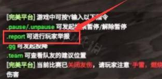 report在csgo是什么意思，csgo中的report有什么用