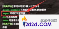 report在csgo是什么意思