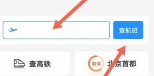 飞常准怎么查别人航班-飞常准航班信息查询方法分享
