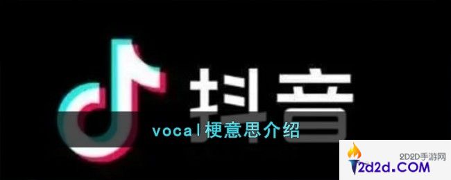 vocal是什么意思