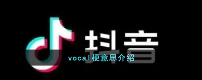 vocal梗意思介绍-vocal是什么意思