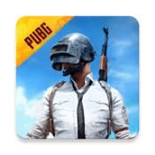 pubg国际服2024(PUBG MOBILE)