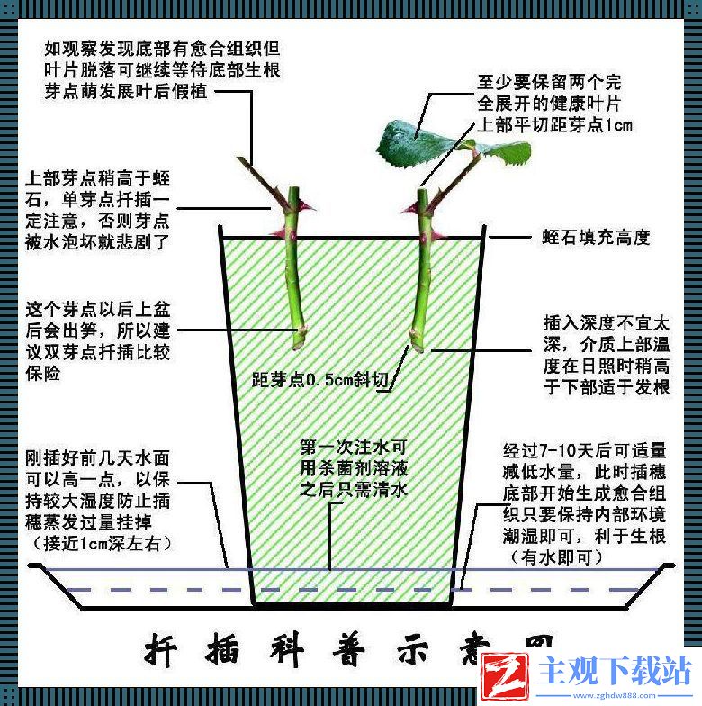 日本72变插花术：笑谈东瀛创新风潮