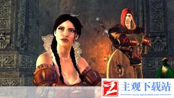 巫师2:刺客之王石像鬼合约任务全解析