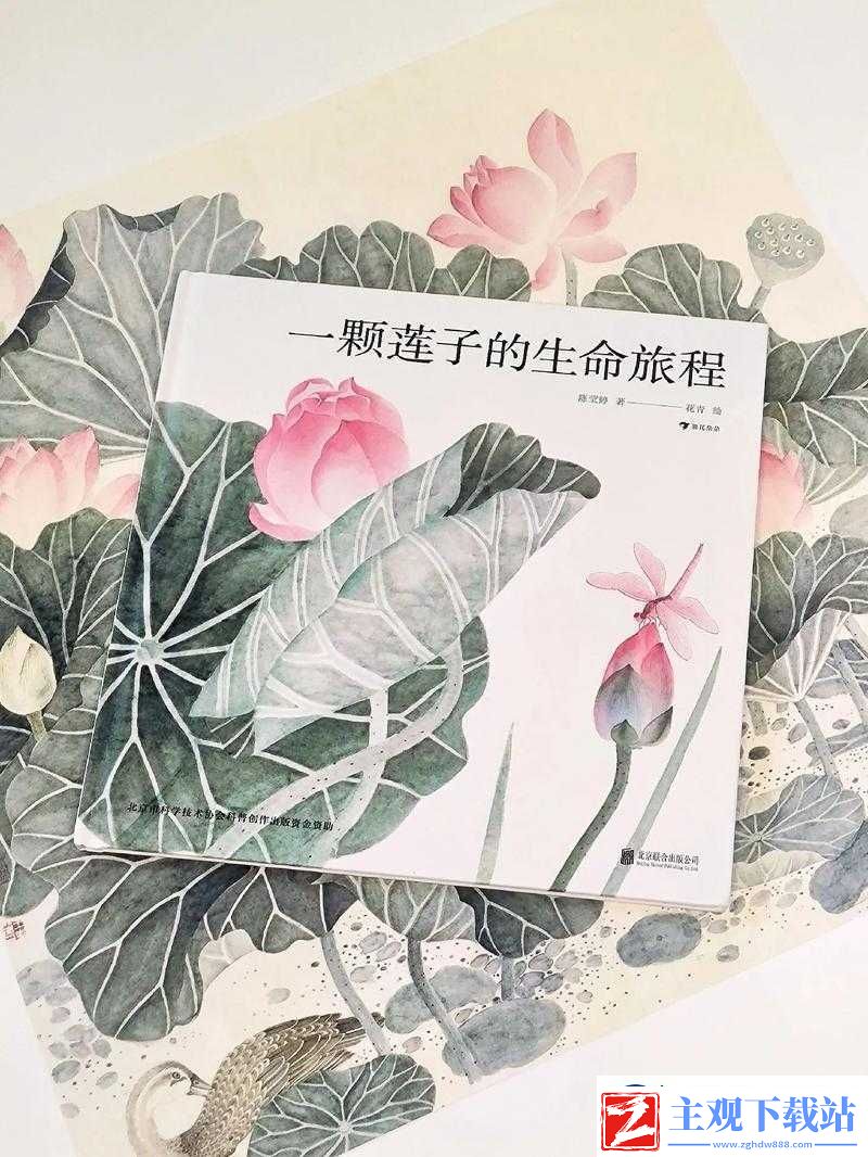 盈盈64：探索生命的完整性