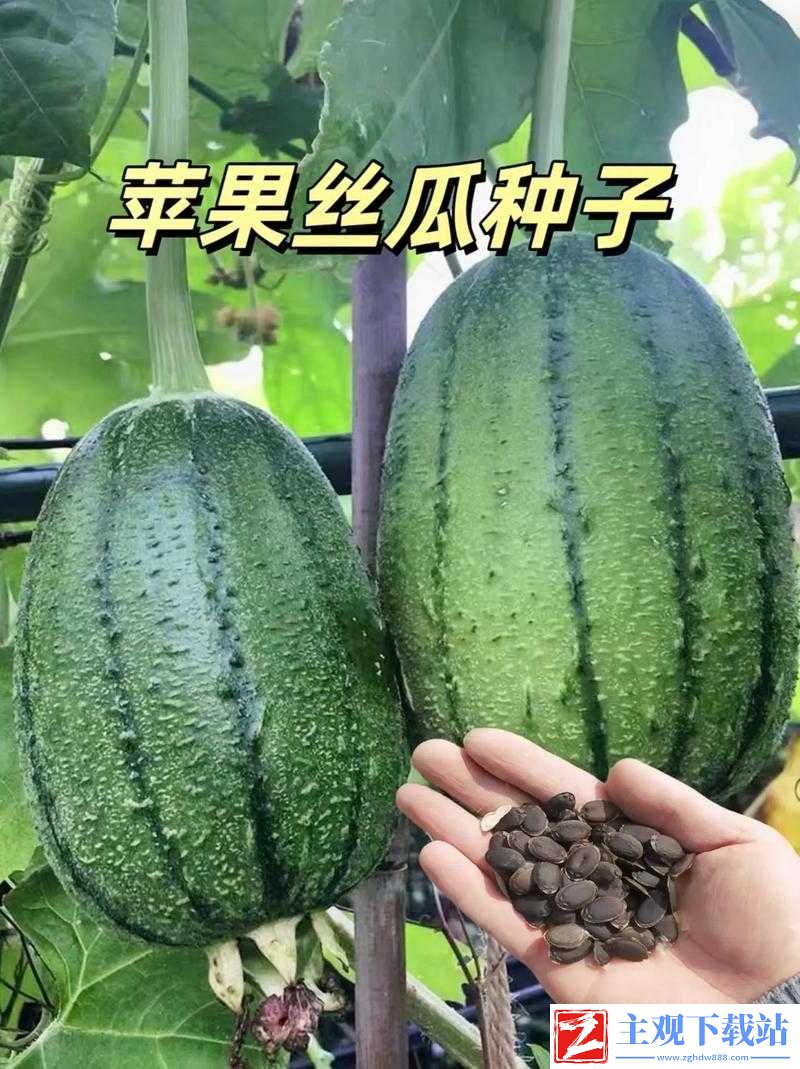 草莓香蕉榴莲丝瓜：美味水果与蔬菜的奇妙组合