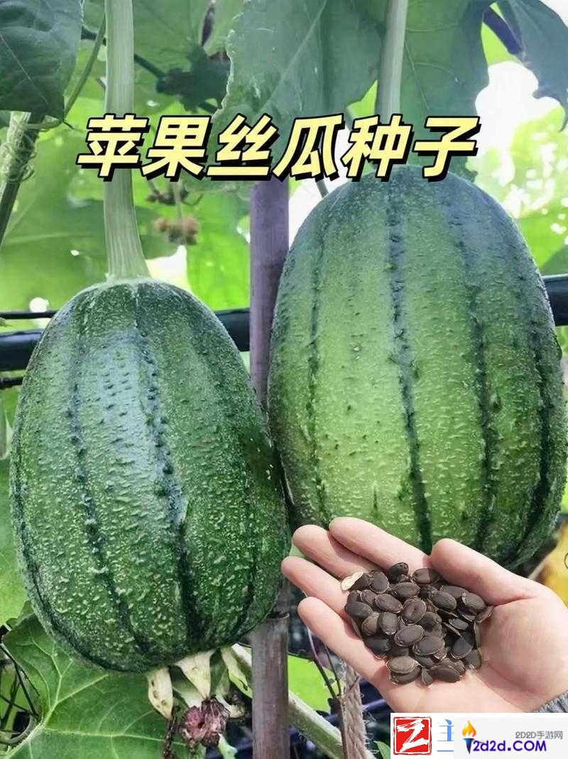 草莓香蕉榴莲丝瓜