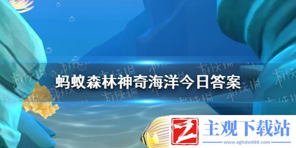 在我国以下哪种蟹属于外来物种-神奇海洋12月13日答案