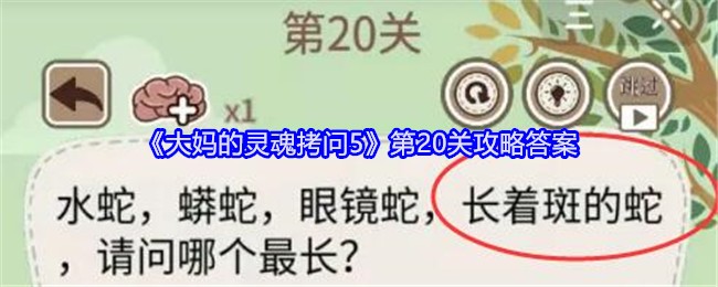 《大妈的灵魂拷问5》第20关攻略答案：如何顺利完成