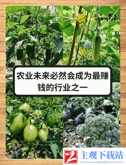 爱情岛论坛-AQDOV-农业：探索农业发展新路径