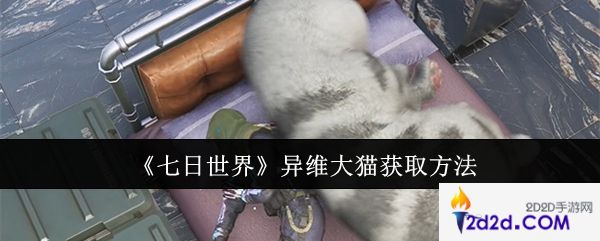 七日世界异维大猫怎么获取