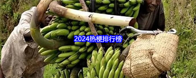 2024热梗排行榜: 本年度最流行的热梗一览