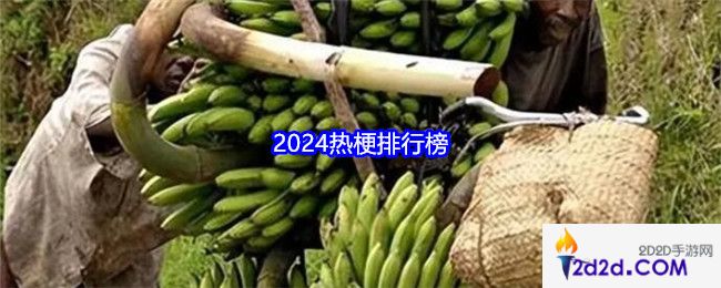 2024热梗词盘点