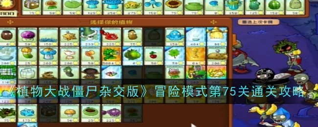 《植物大战僵尸杂交版》冒险模式第75关通关攻略：成功突破第75关的策略